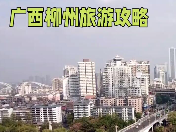 見(jiàn)證旅游市場(chǎng)活力與魅力 “導(dǎo)游也是一道美麗的風(fēng)